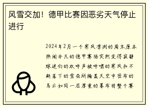 风雪交加！德甲比赛因恶劣天气停止进行